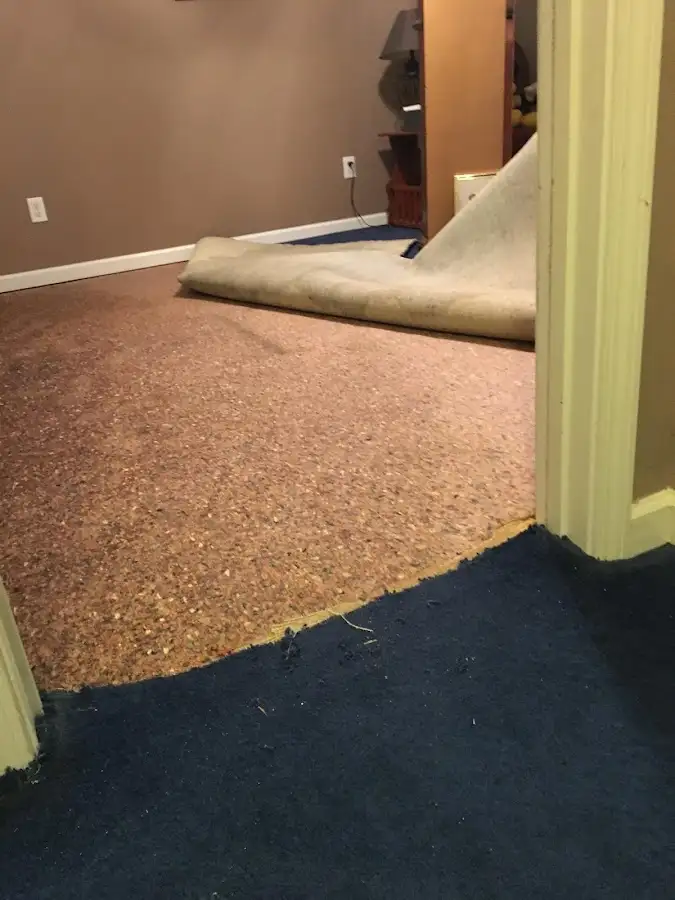 Carpet pad removal revealing water damage during Water Mitigation Services in Brewton